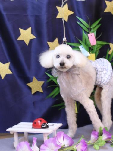 20230725エフくん